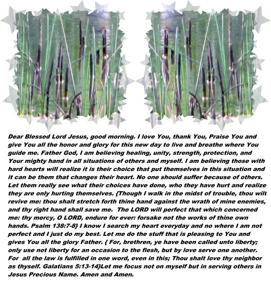 © Photo Artist Susan Ruth Robertson 090025006100 sx400 017 - Copy.JPG