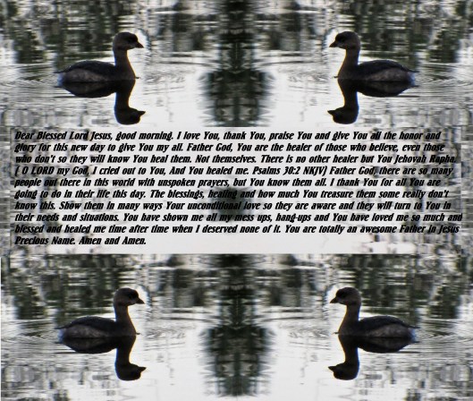 Photo Artist Susan Robertson (18) - Copy.JPG