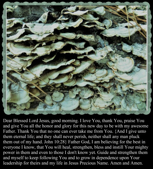 © Photo Artist Susan Ruth Robertson 090025006100 003.JPG