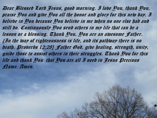 © Photo Artist Susan Ruth Robertson 090025006100 018 - Copy.JPG