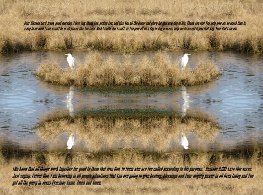 © Photo Artist Susan Ruth Robertson 090025006100 026 - Copy.JPG