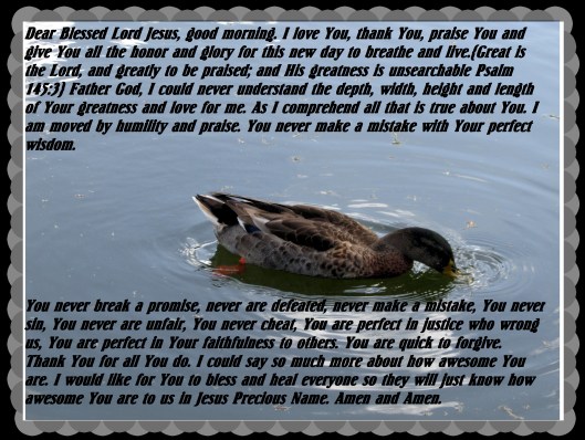 © Photo Artist Susan Ruth Robertson 090025006100 034 - Copy.JPG