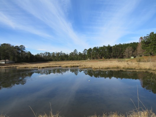 © Photo Artist Susan Ruth Robertson 090025006100 040.JPG