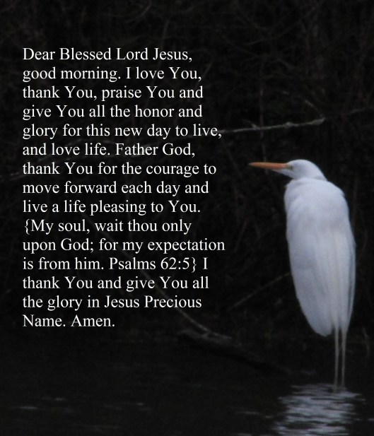 © Photo Artist Susan Ruth Robertson 090025006100 046.JPG