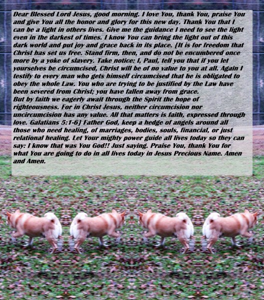 © Photo Artist Susan Ruth Robertson 090025006100 056.JPG