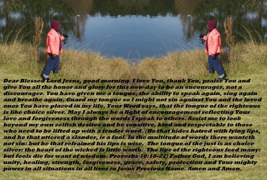 © Photo Artist Susan Ruth Robertson 090025006100 060 - Copy.JPG