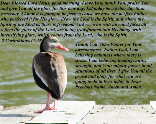 © Photo Artist Susan Ruth Robertson 090025006100 064 - Copy - Copy.JPG