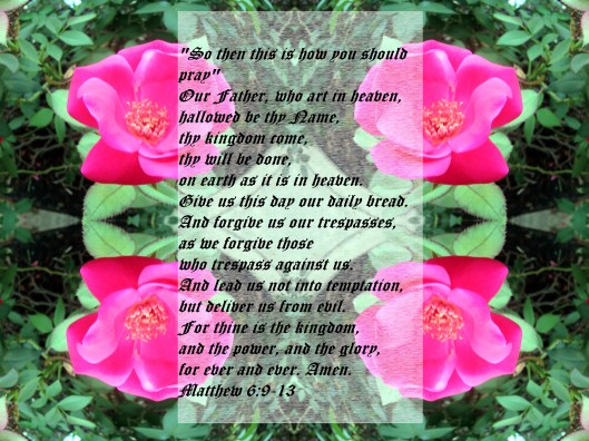 © Photo Artist Susan Ruth Robertson 090025006100 072 - Copy.JPG