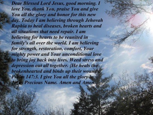 © Photo Artist Susan Ruth Robertson 090025006100 094.JPG