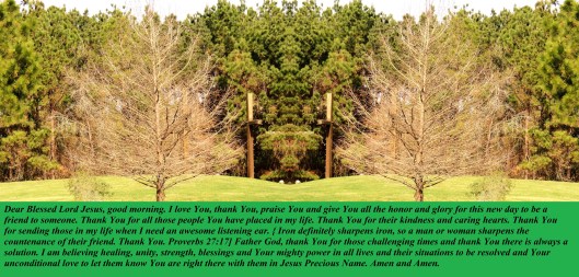 © Photo Artist Susan Ruth Robertson 090025006100 096 - Copy.JPG