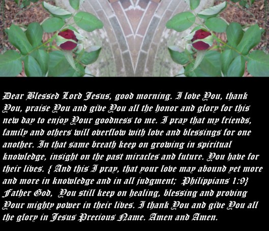 © Photo Artist Susan Ruth Robertson 090025006100 140 - Copy.JPG