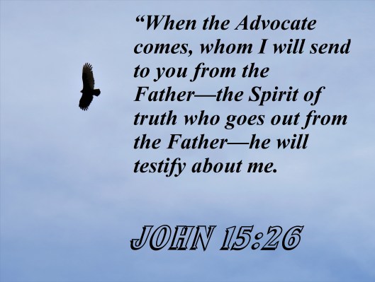 © Photo Artist Susan Ruth Robertson 090025006100 141.JPG