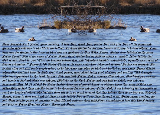 © Photo Artist Susan Ruth Robertson 090025006100 198 - Copy - Copy (2).JPG