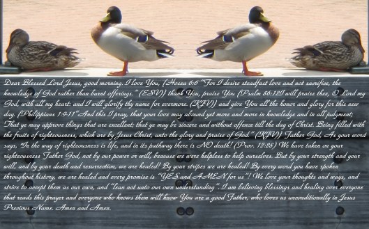 © Photo Artist Susan Ruth Robertson 090025006100 (7) - Copy - Copy.JPG