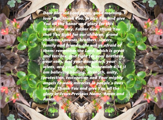 Feb 4, 2013 003 - Copy.JPG