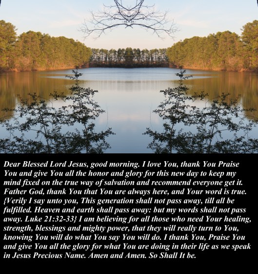 Jan 26,2013 with 25 moon 001 Photo Artist Susan Robertson (12) - Copy.JPG