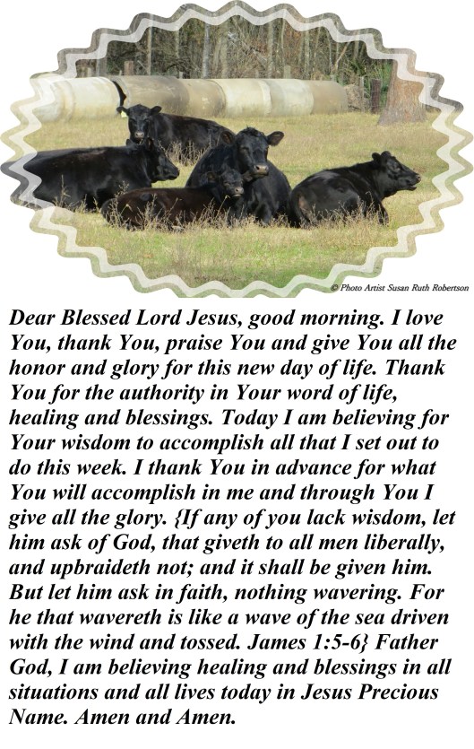 Photo Artist Susan Robertson (25) - Copy.JPG