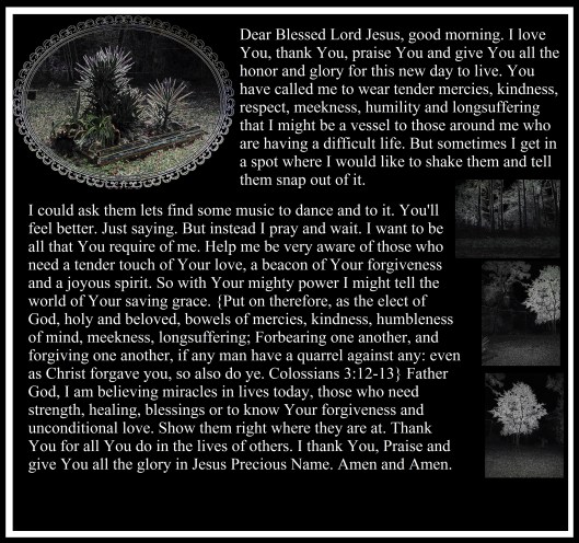 Sunday morning to afternoon 003 - Copy.JPG