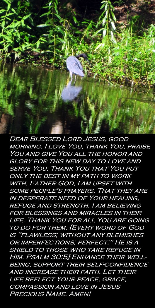 © Photo Artist Susan Ruth Robertson 090025006100 011.JPG