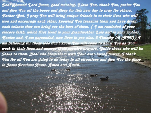 © Photo Artist Susan Ruth Robertson 090025006100 097 - Copy.JPG