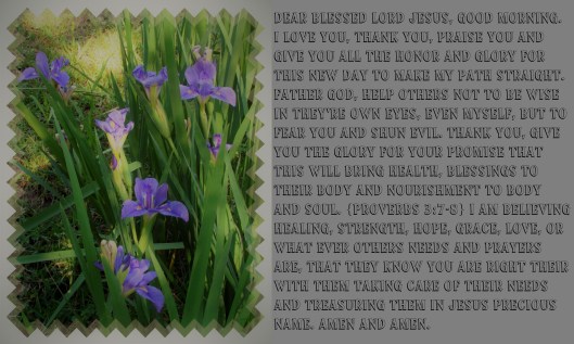© Photo Artist Susan Ruth Robertson 090025006100 (28) - Copy.JPG