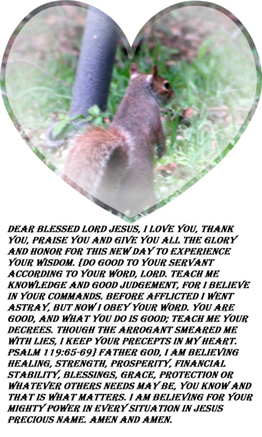 © Photo Artist Susan Ruth Robrtson 090025006100 014 - Copy - Copy.JPG