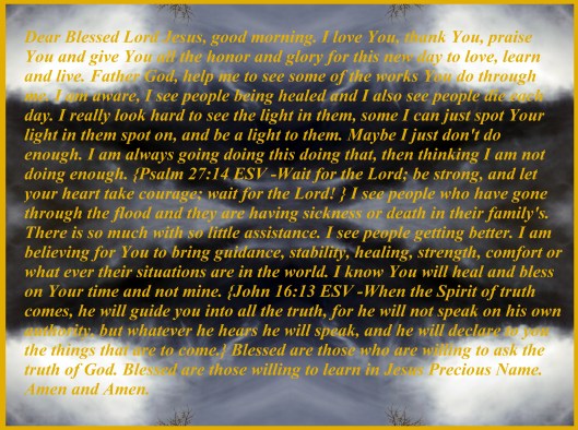 plants etc 023 - Copy.JPG