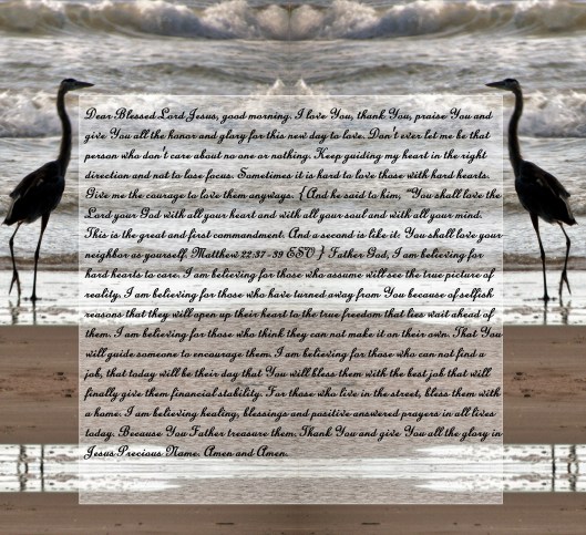 © Photo Artist Susan Ruth Robertson 090025006100 014 - Copy.JPG