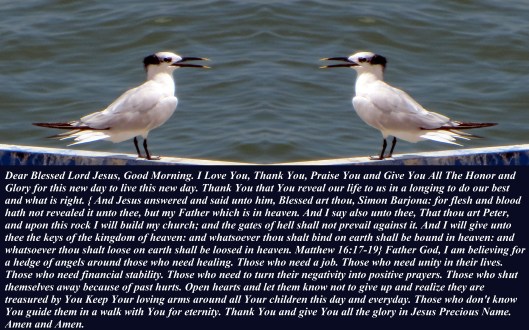 © Photo Artist Susan Ruth Robertson 090025006100 025 - Copy (2) - Copy.JPG