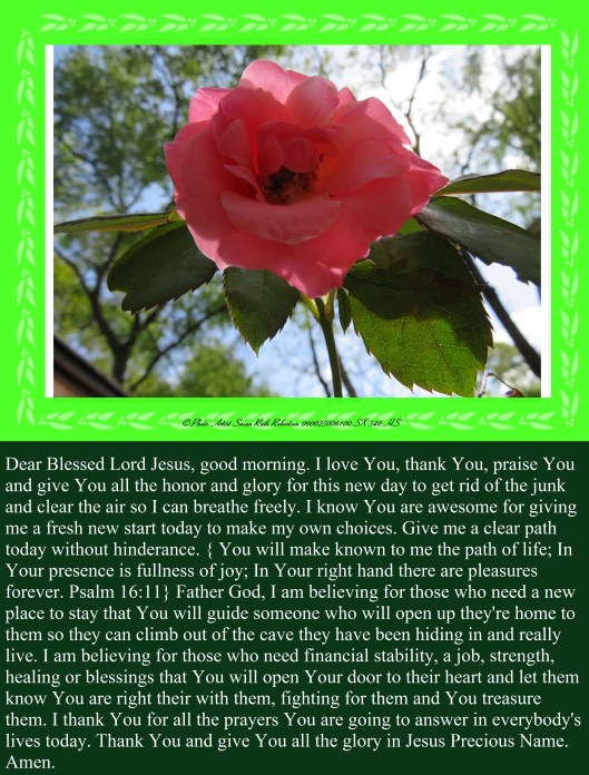 © Photo Artist Susan Ruth Robertson 090025006100 SX 540 HS 009 - Copy - Copy.JPG