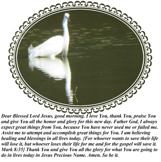 © Photo Artist Susan Ruth Robertson 090025006100 SX 540 HS 014.JPG