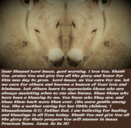 © Photo Artist Susan Ruth Robertson 090025006100 SX540HS 007 - Copy.JPG