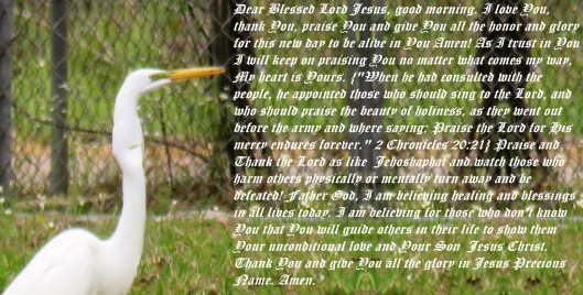 © Photo Artist Susan Ruth Robertson 090025006100 SX540HS 012 - Copy