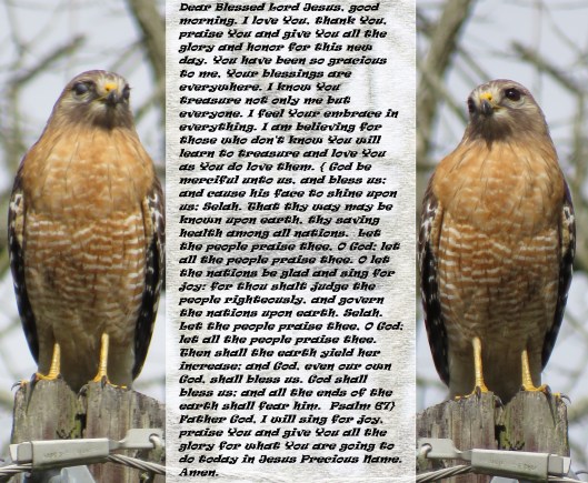 © Photo Artist Susan Ruth Robertson 090025006100 SX540HS 014