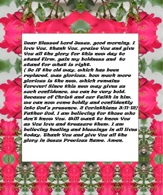 © Photo Artist Susan Ruth Robertson 090025006100 SX540HS 033 - Copy - Copy (2) - Copy - Copy.JPG