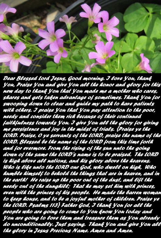 © Photo Artist Susan Ruth Robertson 090025006100 SX540HS 033 - Copy.JPG