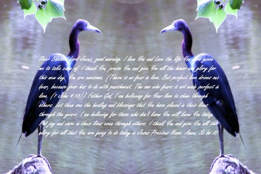 © Photo Artist Susan Ruth Robertson 0925006100 007 - Copy (2) - Copy.JPG