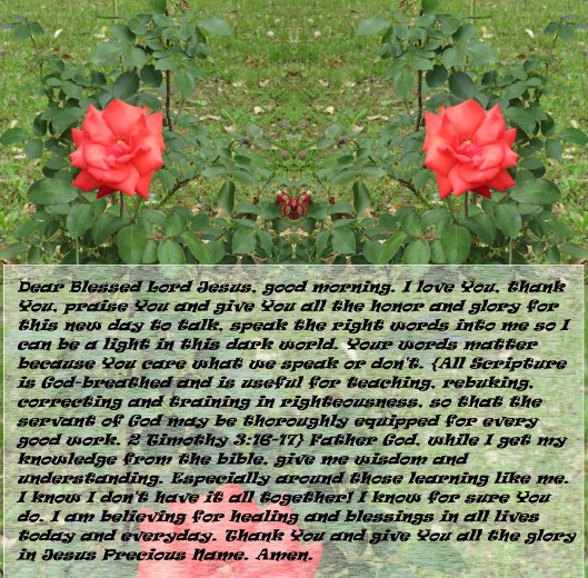 © Photo Artist Susan Ruth Robertson 090025006100 SX540HS 057 - Copy.JPG