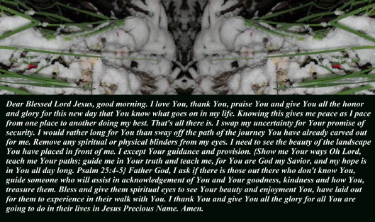 © Photo Artist Susan Ruth Robertson090025006100 012 - Copy.JPG