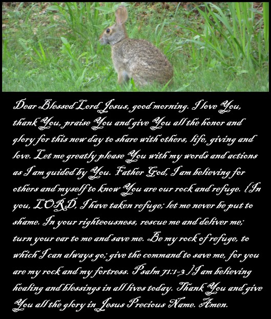 © Photo Artist Susan ruth Robertson 09002500100 (12) - Copy.JPG