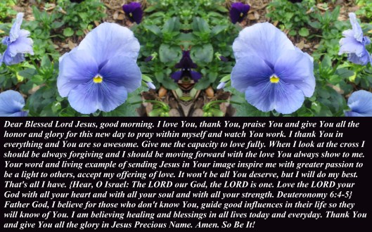 © Photo Artist Susan Ruth Robertson 090025006100 001 - Copy.JPG