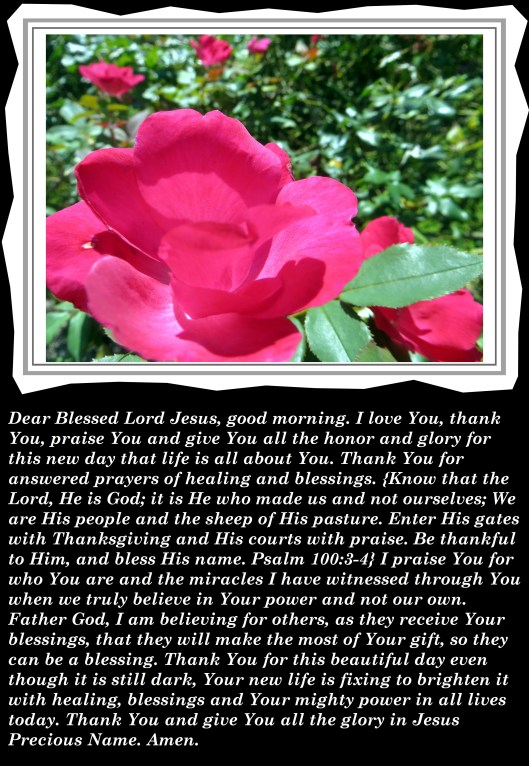 © Photo Artist Susan Ruth Robertson 090025006100 012 - Copy (2).JPG