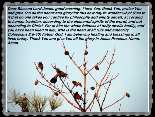 © Photo Artist Susan Ruth Robertson 090025006100 020 - Copy (2).JPG