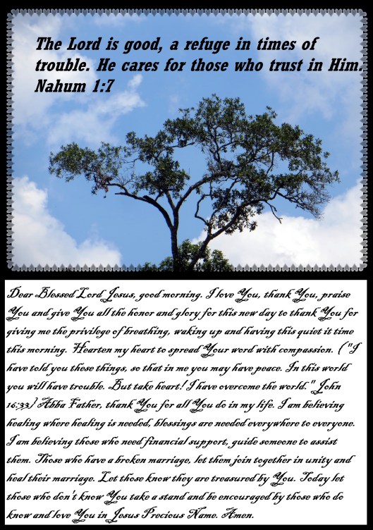 © Photo Artist Susan Ruth Robertson 090025006100 033.JPG