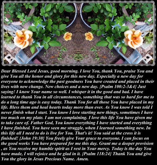© Photo Artist Susan Ruth Robertson 090025006100 099 - Copy.JPG