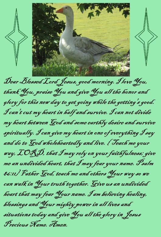 © Photo Artist Susan Ruth Robertson 090025006100 115 - Copy.JPG