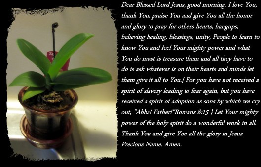 © Photo Artist Susan Ruth Robertson 090025006100 (22) - Copy.JPG