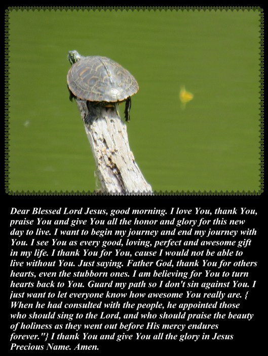 © Photo Artist Susan Ruth Robertson 090025006100 SX 400 IS 031