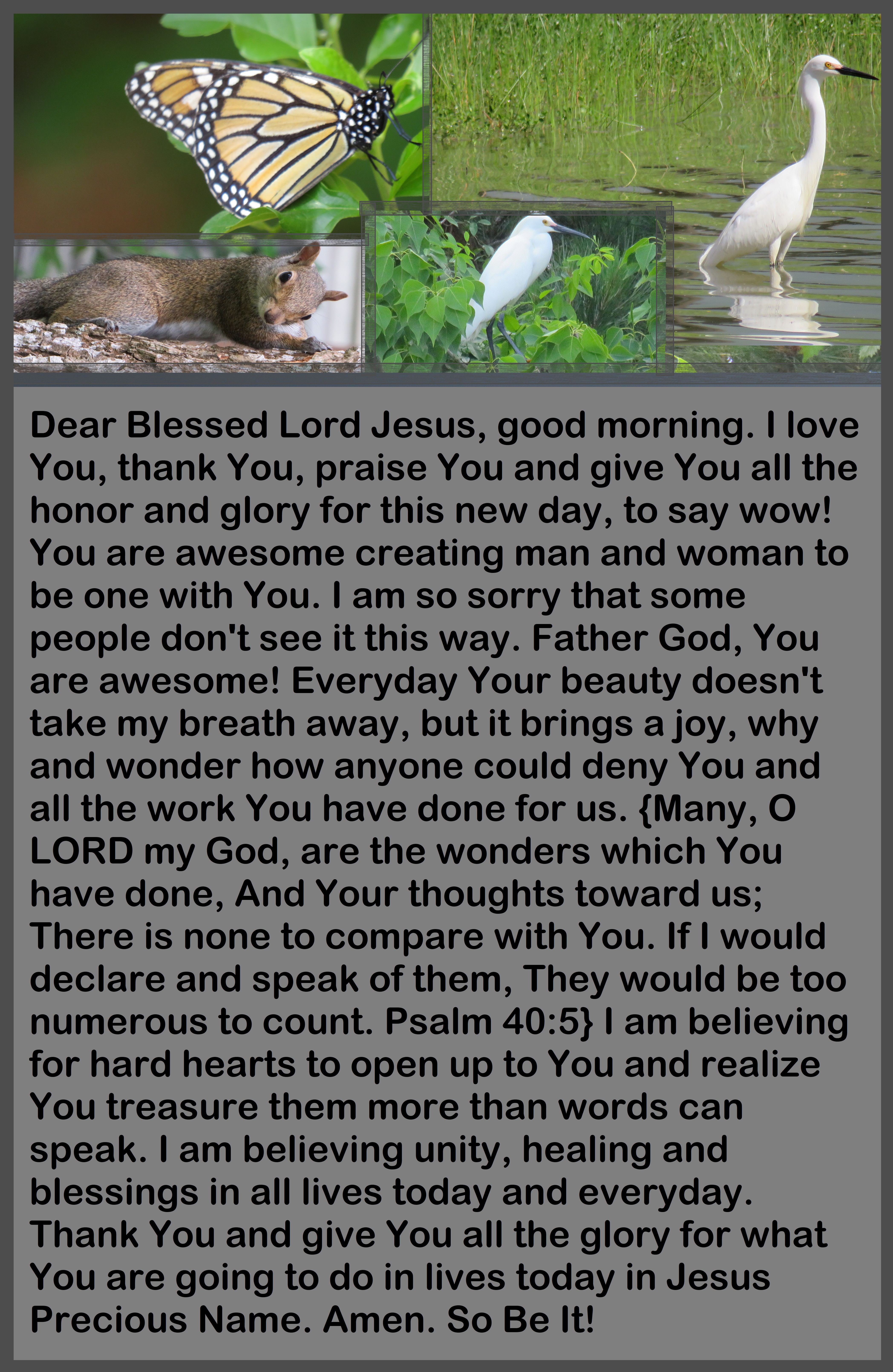 © Photo Artist Susan Ruth Robertson 090025006100 SX540HS 0 087 - Copy.JPG