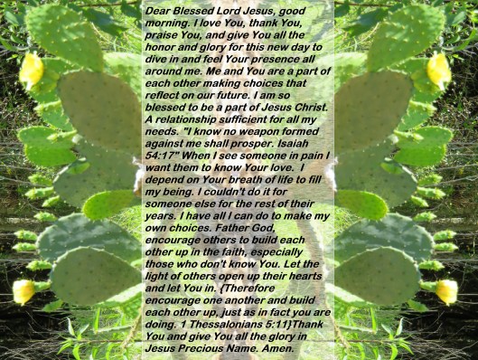 © Photo Artist Susan Ruth Robertson 090025006100 SX540HS 001 - Copy.JPG